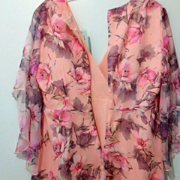 Pink floral shear overlay flutter sleeve fit flare dress - Picture 6 of 6